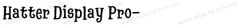 Hatter Display Pro字体转换